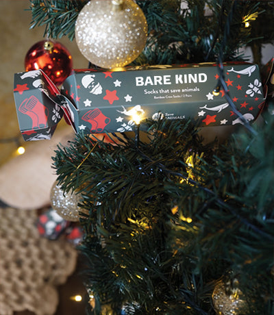 Bare Kind packaging on a Christmas tree with ornaments.
