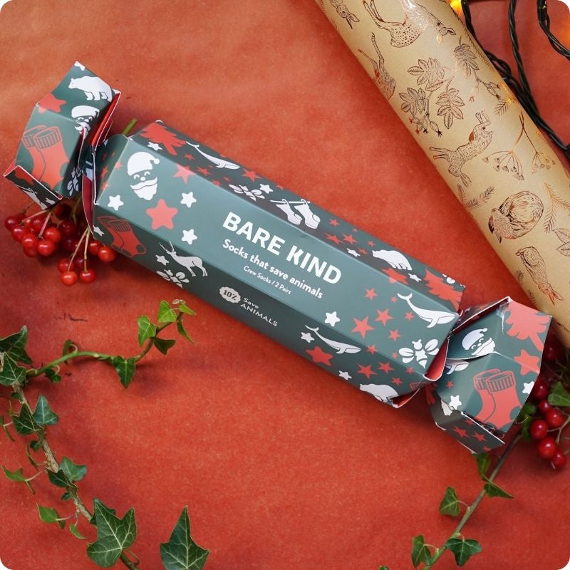 christmas cracker