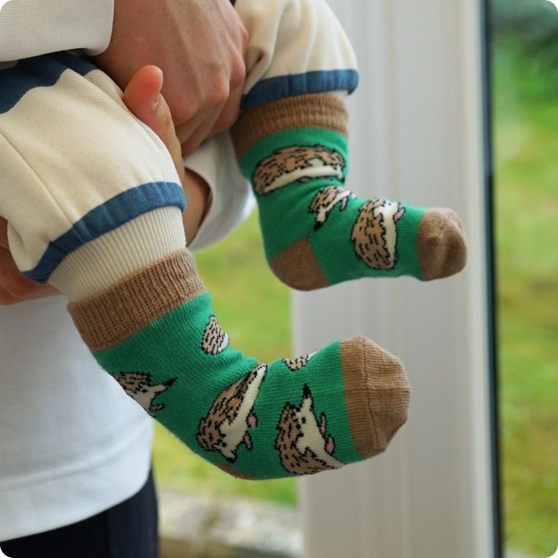 kids hedgehogs socks