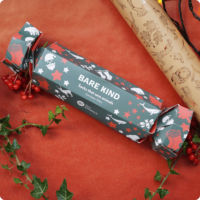 christmas cracker