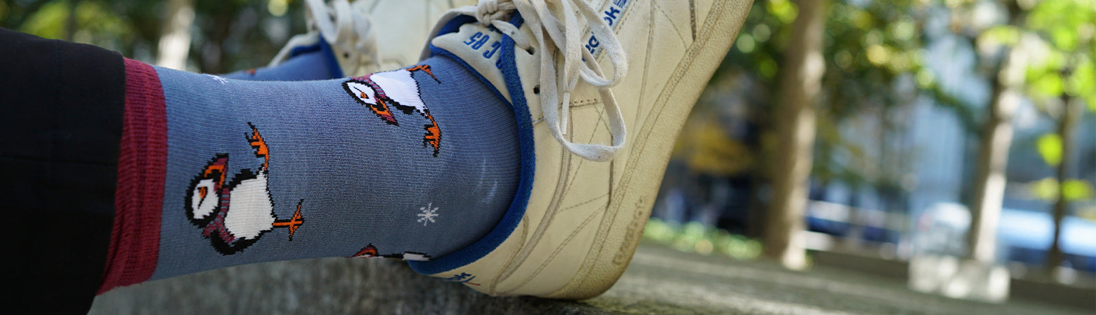 Person wearing blue puffins socks with a blurred outdoor background