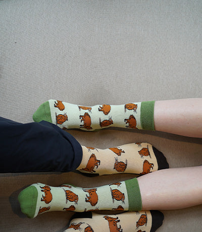 Two pairs of socks with capybaras patterns on a neutral background