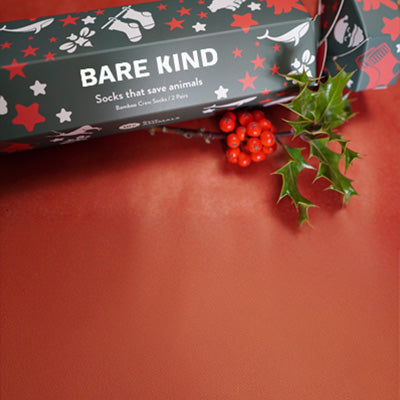 Bare Kind christmas gift box with a red background