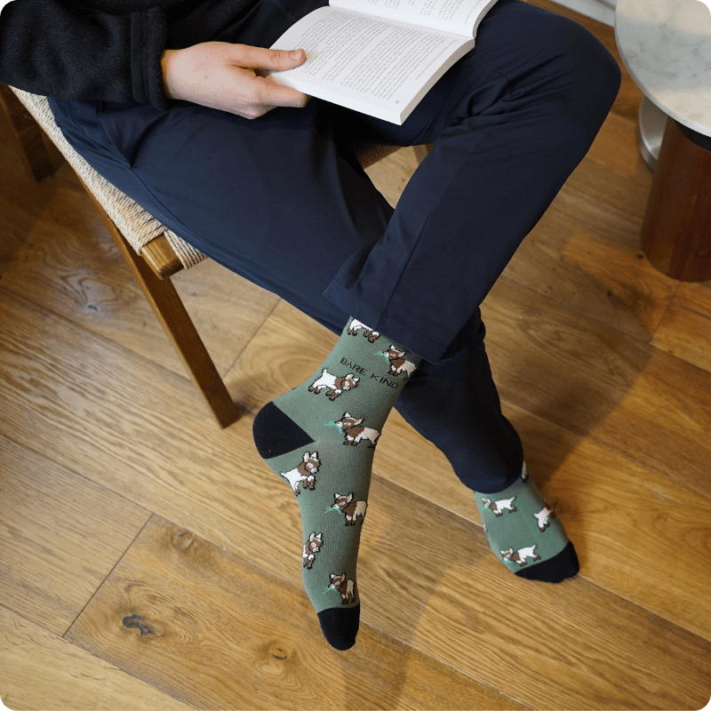 Person sitting on a chair wearing green goats bamboo socks and reading a book.