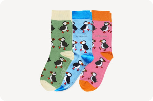 Three colorful socks with puffin patterns on a white background
