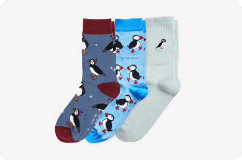 Three pairs of socks with puffin design on a white background