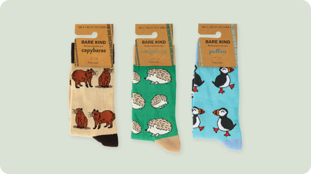 Capybara, Hedgehog, and Puffin Socks Bundle
