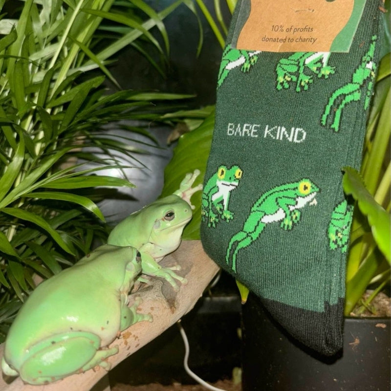 Green frog socks with 'Bare Kind' branding next to a real green frog on a natural background