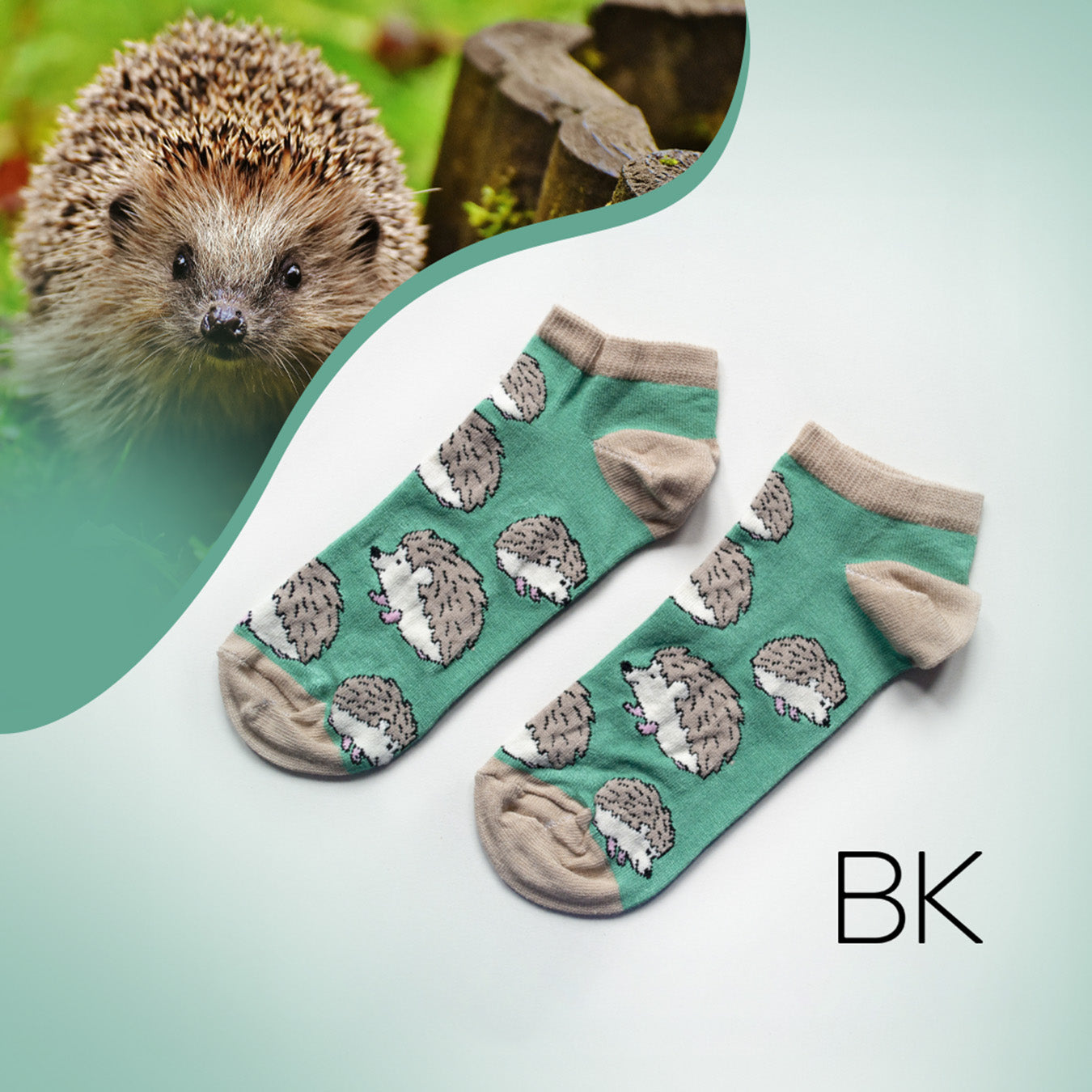 green hedgehog trainer socks flat lay with hedgehog imagery