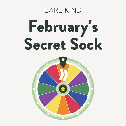 February secret sock