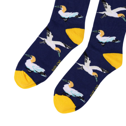 gannet socks close up