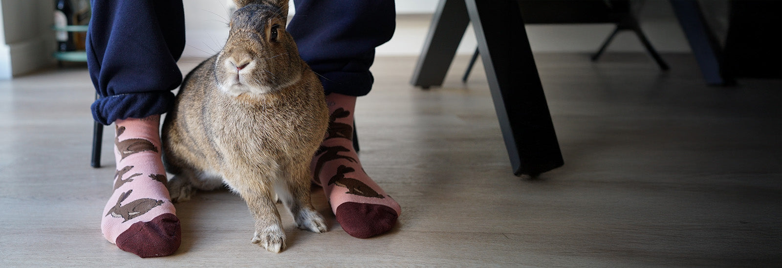 Person wearing hares bamboo socks with a rabbit on a wooden floor.