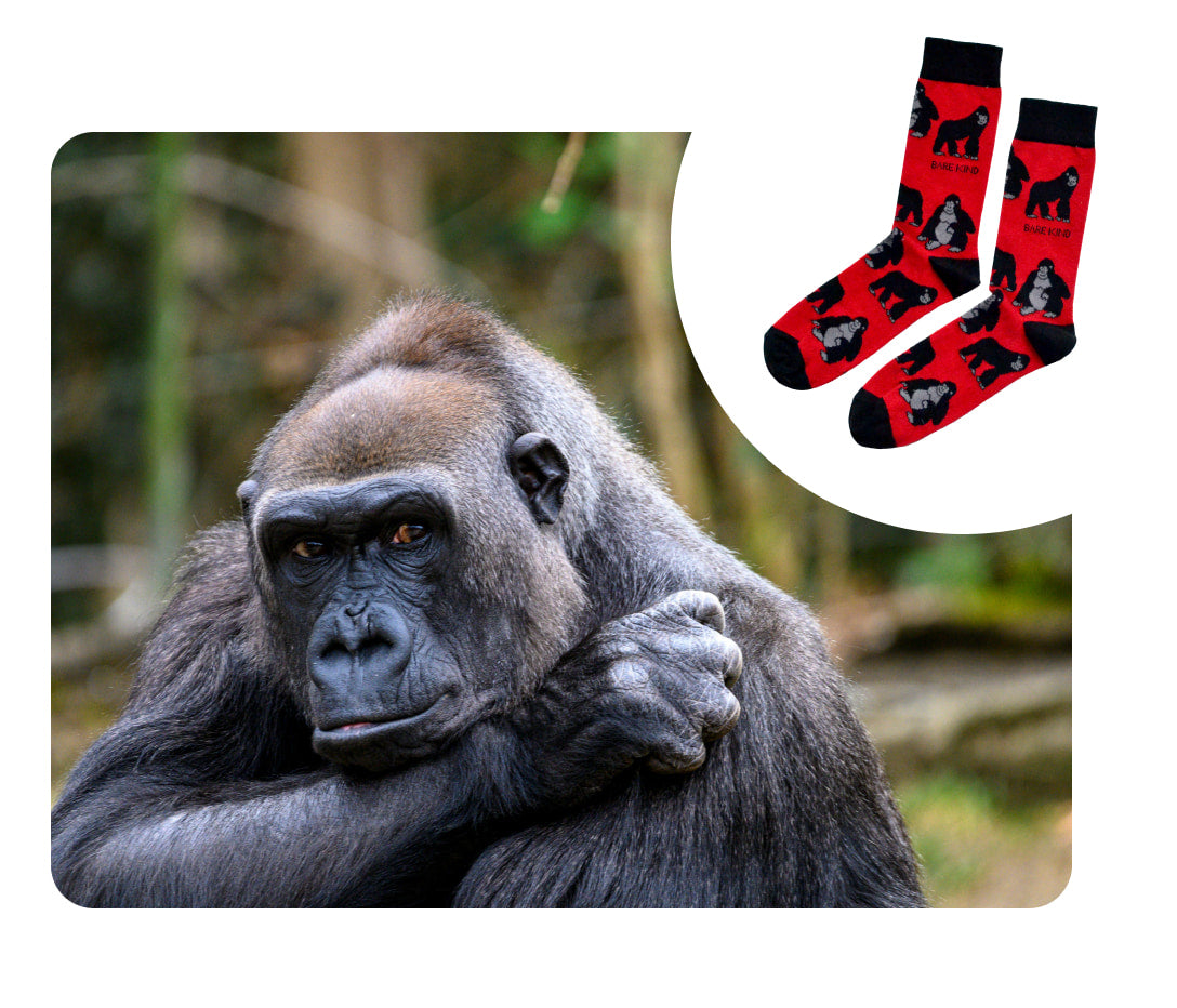 gorilla and red black gorilla bamboo socks