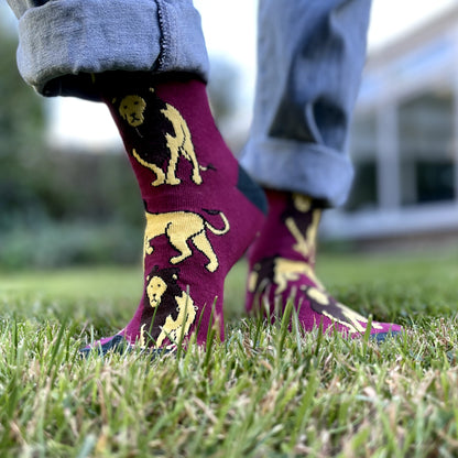 Model wearing lions bamboo socks