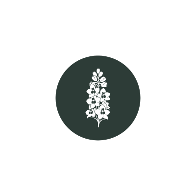 Orchid icon