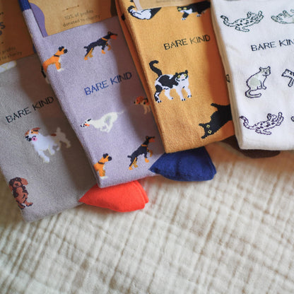 packagings of grey dog, purple dog, brown cat, green cat bamboo socks