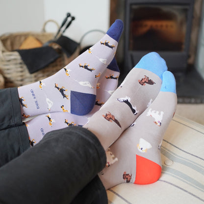 people wearing grey dog, purple dog bamboo socks