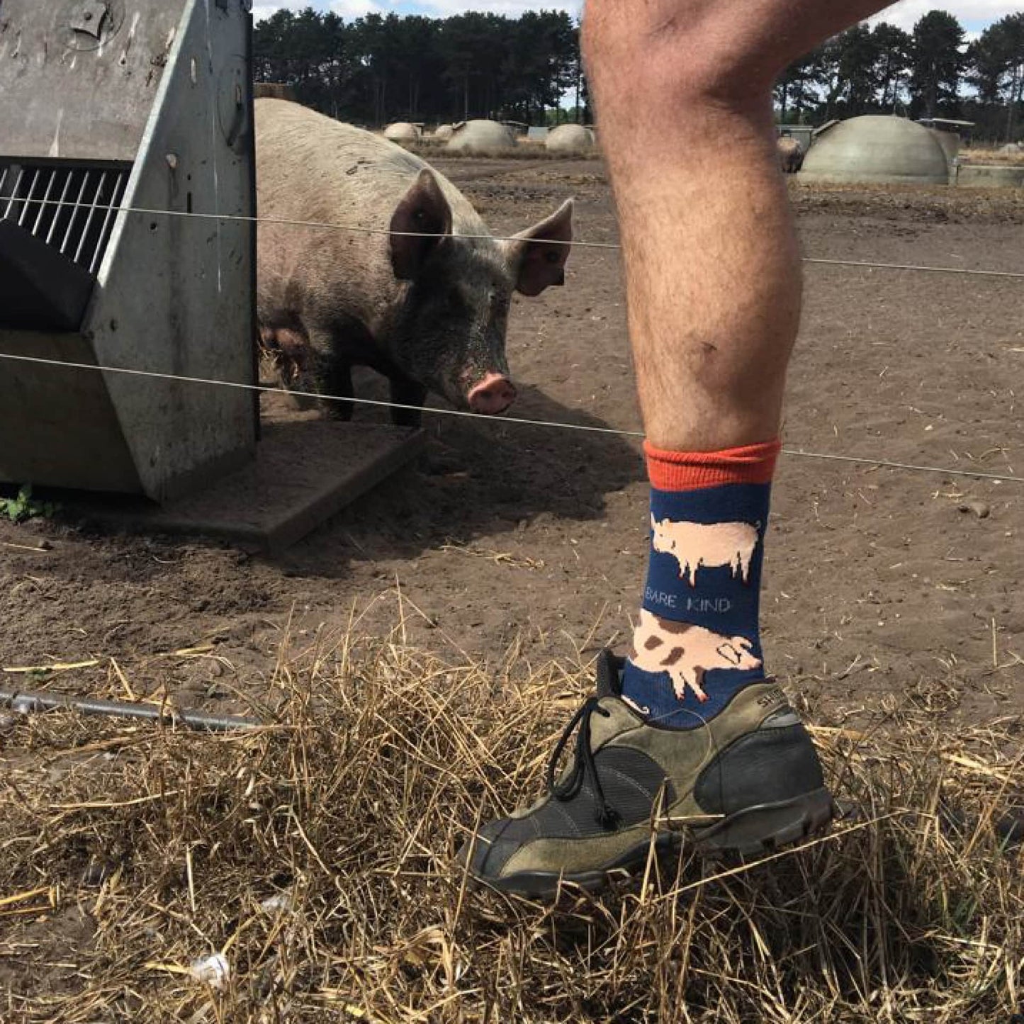 model wearing pig bamboo socks