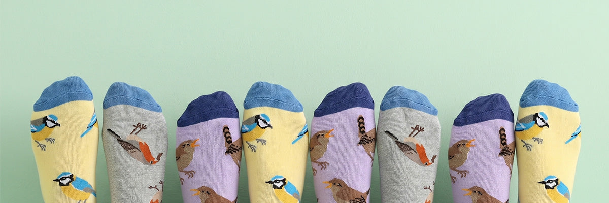 Set of colorful socks with bird patterns on a light green background