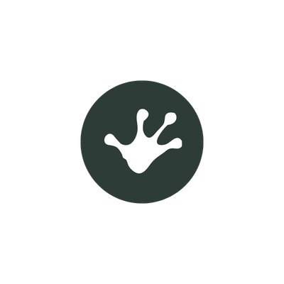 Salamander icon