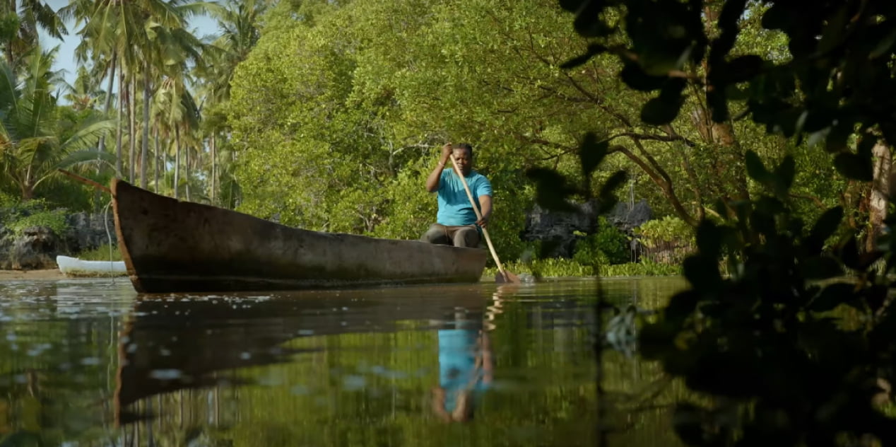 Load video: sea trees, video