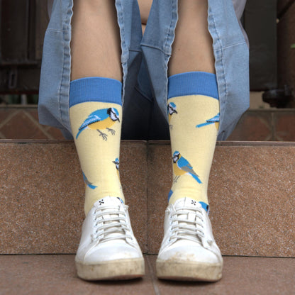 Blue tit socks