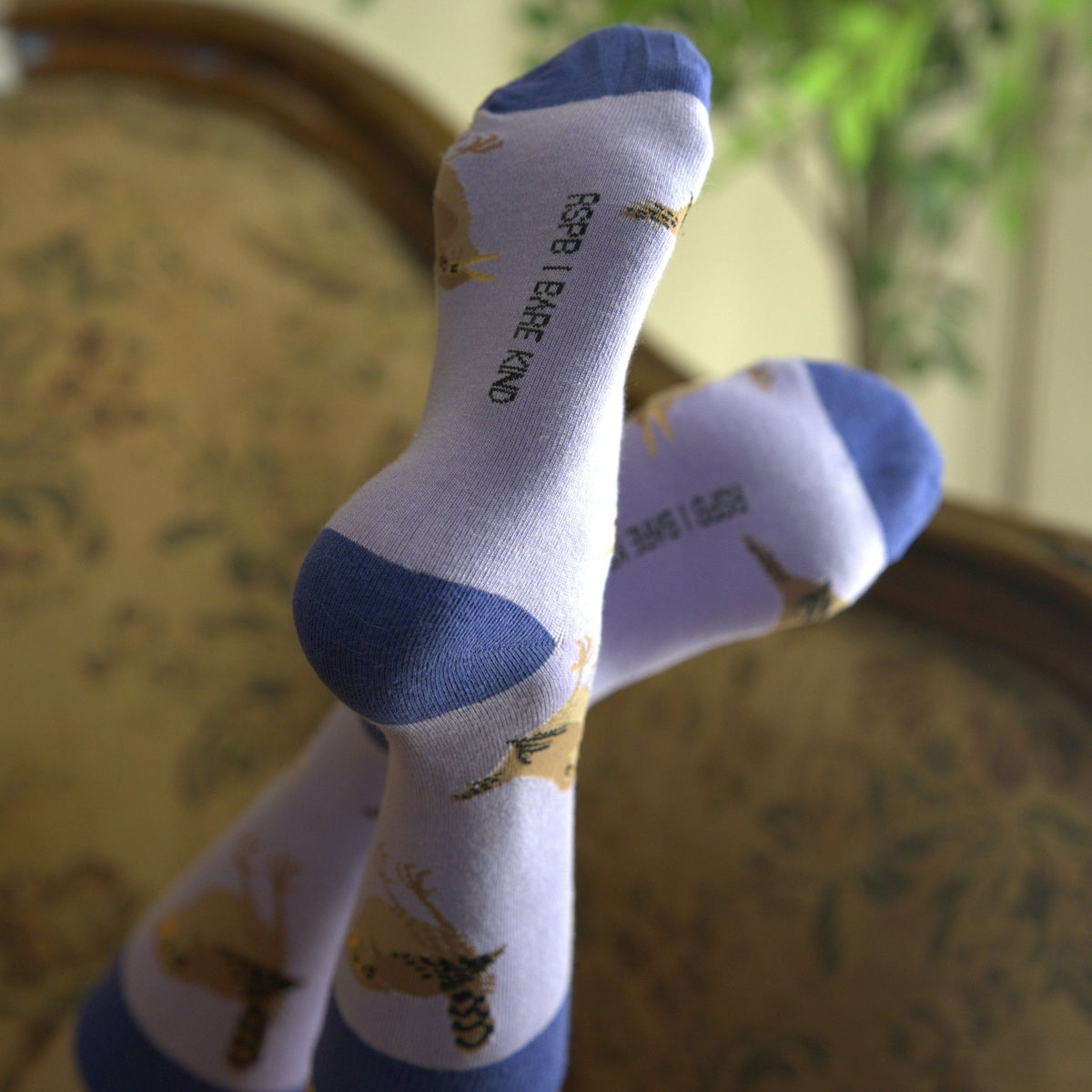 Wren socks