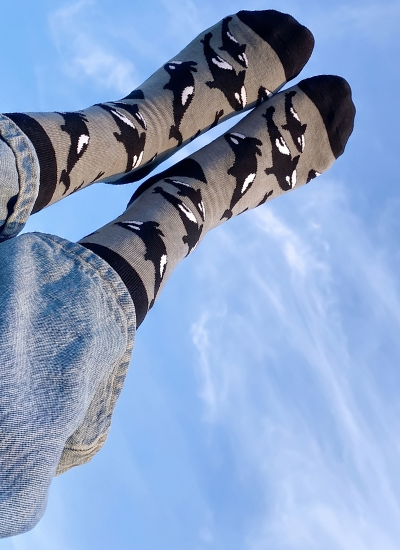 Person wearing socks with orca pattern against a blue sky