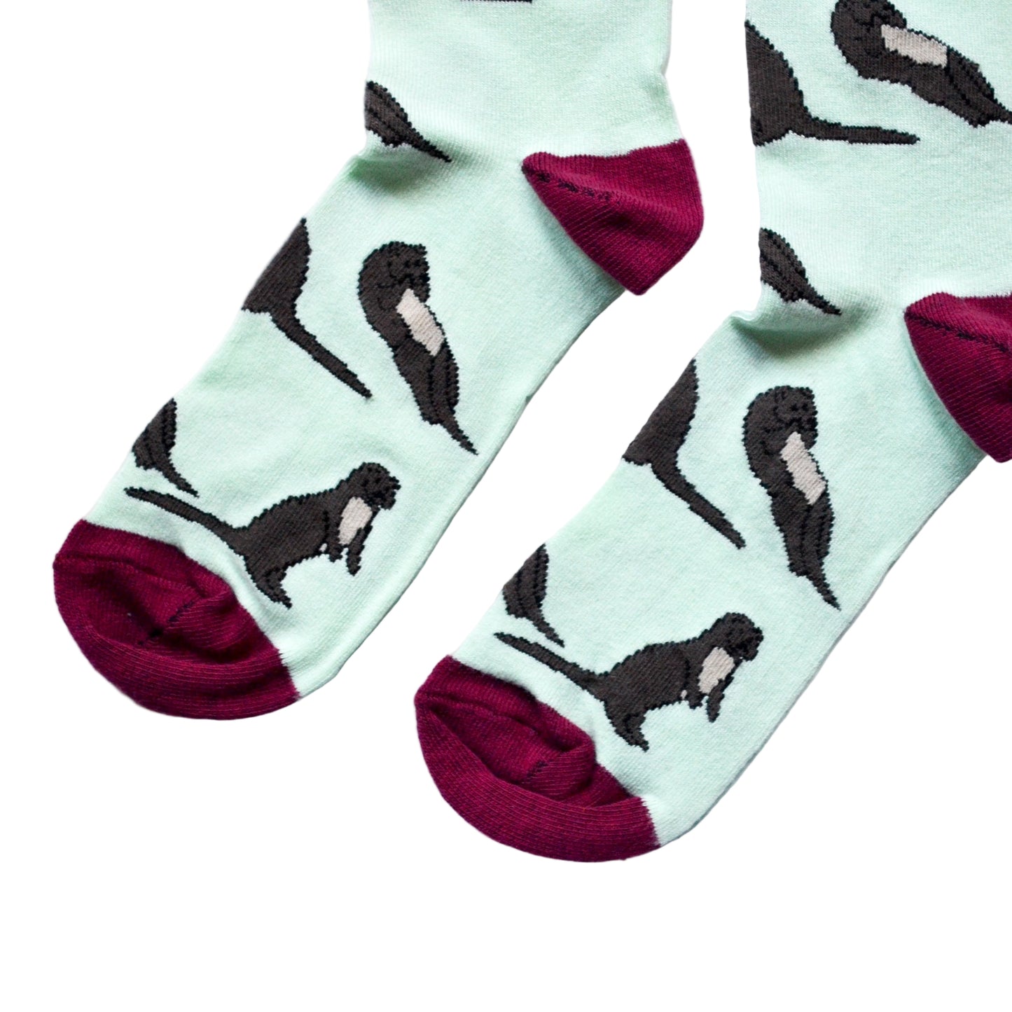 toe closeup flat lay of pastel green otter socks 